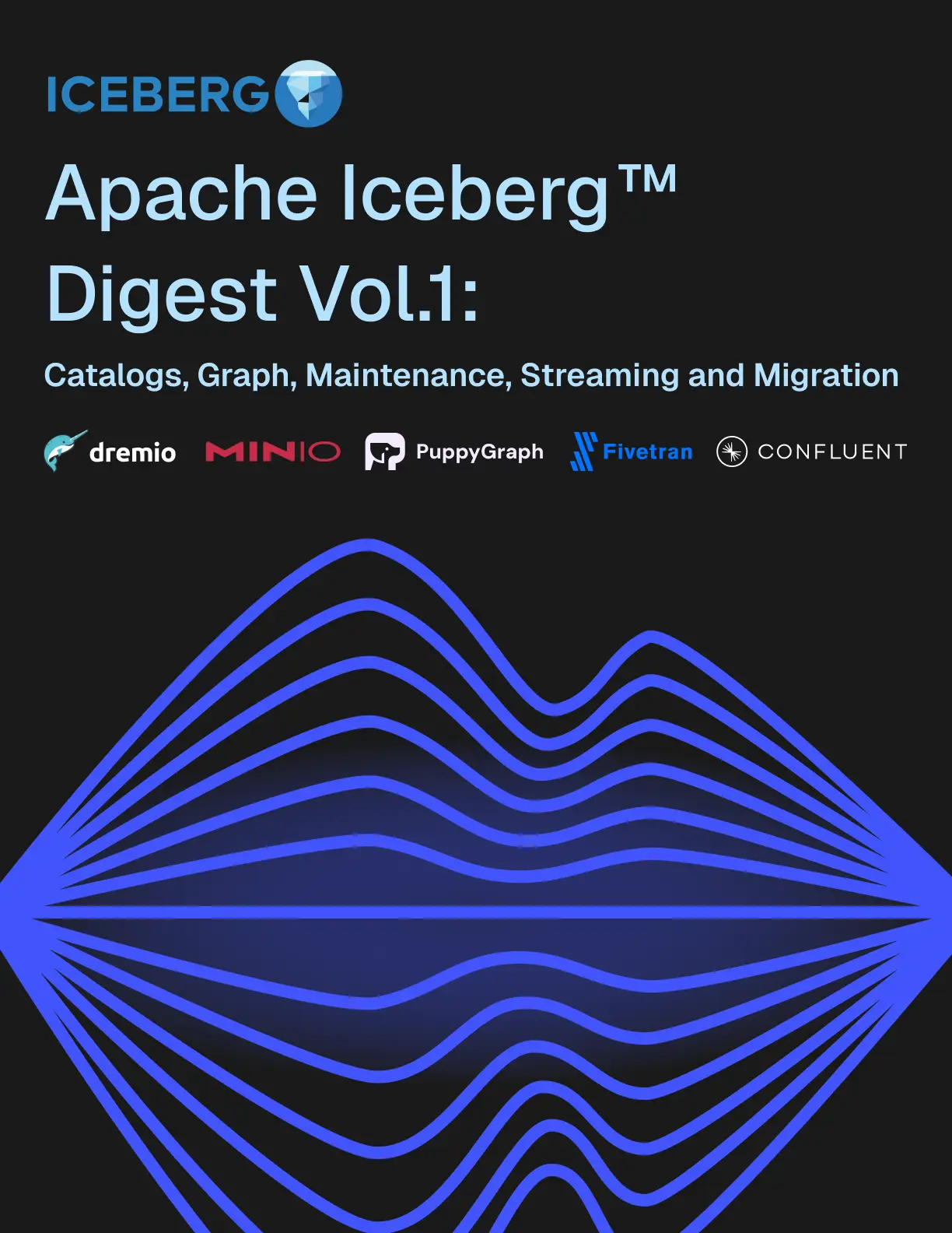 The Apache Iceberg Digest: Vol 1